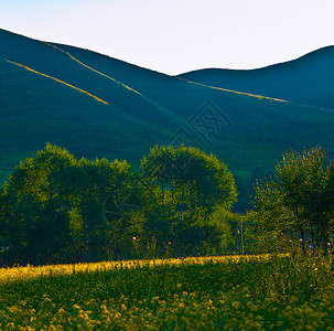 风景高山高清图片素材