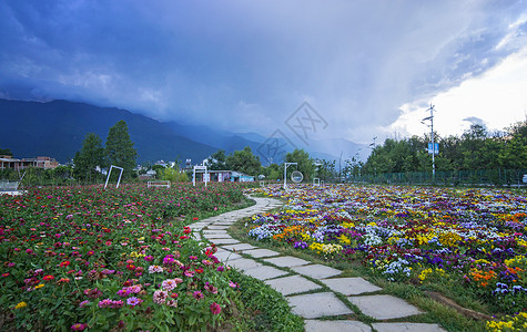 花海栈道大理花海石子小路背景