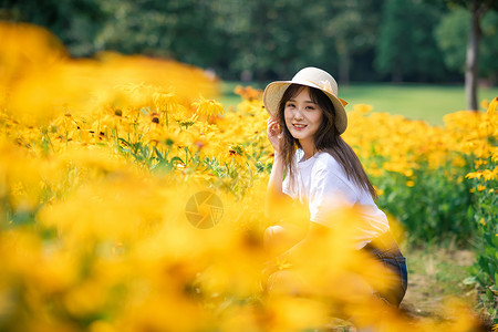 夏季花海写真图片