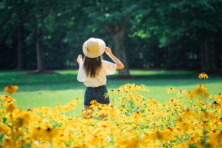 如花般女孩花海女孩背影背景