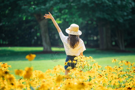 写真女孩花海女孩背影背景