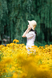 花海中的女孩图片