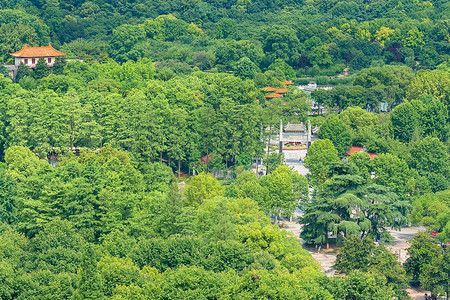 航拍绿荫环绕的江西九江公园背景图片