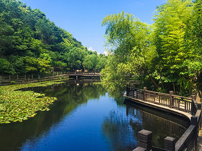 浙江舟山桃花岛风光背景