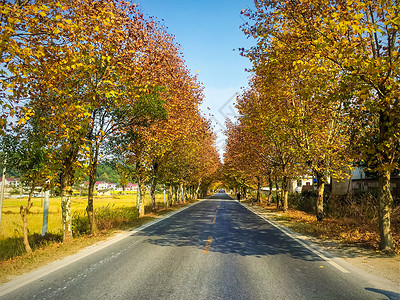 皖南金秋公路风光背景图片