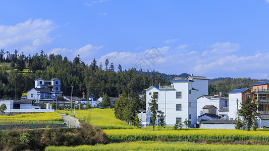 全面小康新农村背景