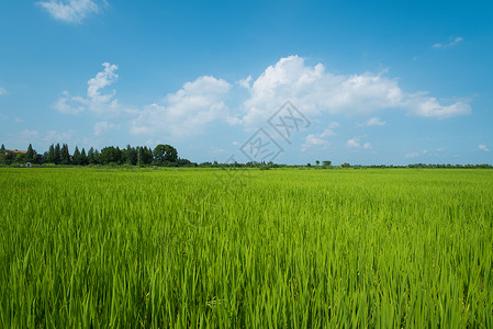 蓝色农业农田全景风光背景