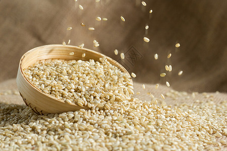 一盘糙米杂粮糙米背景