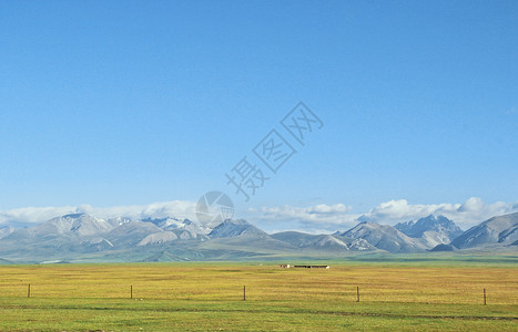 新疆草原牧场图片