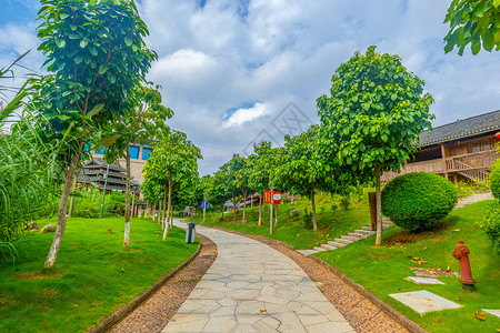 绿化小道广西民族村小道背景