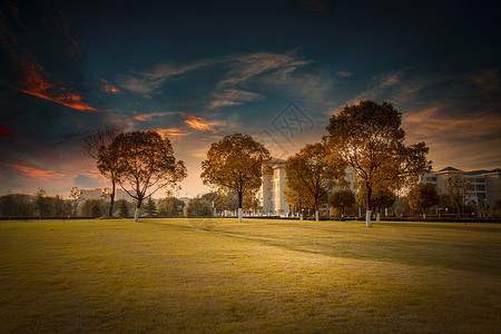 大学高校草地风景背景图片