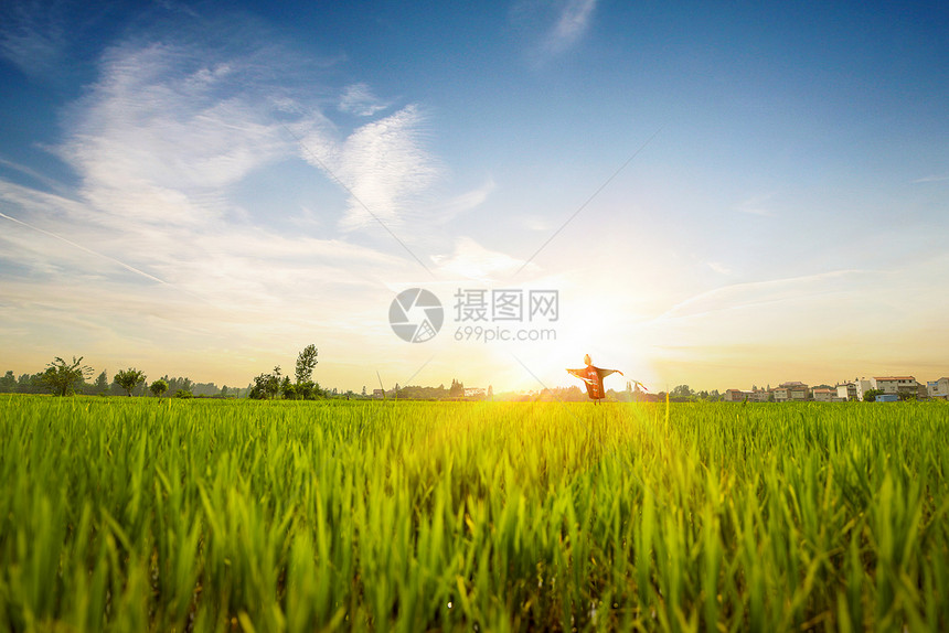 农田全景风光图片