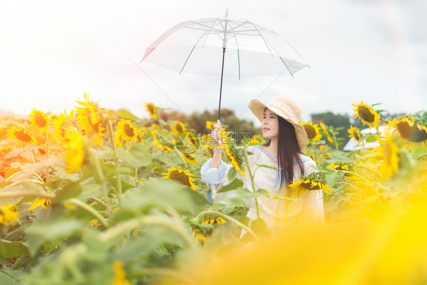 向日葵少女手拿雨伞图片