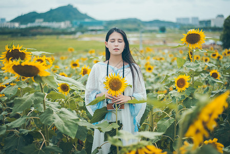 向日葵女孩萌妹子高清图片素材