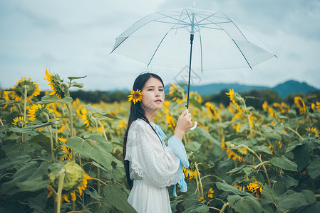 向日葵少女拿着雨伞高清图片