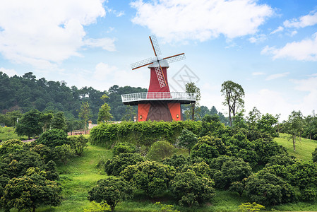 东莞植物园风车背景图片