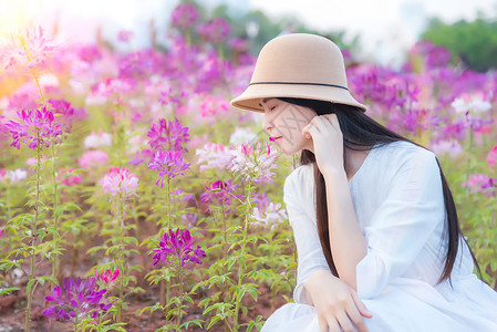 花海里的少女美女高清图片素材