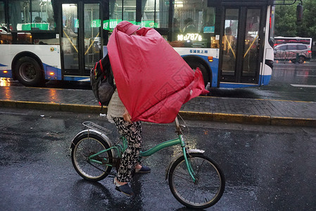 2019年11月28日出行不便风雨交加高清图片