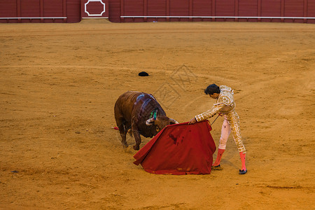 西班牙斗牛士背景图片