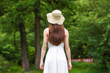 穿裙子的美女带草帽旅行的女生背影背景