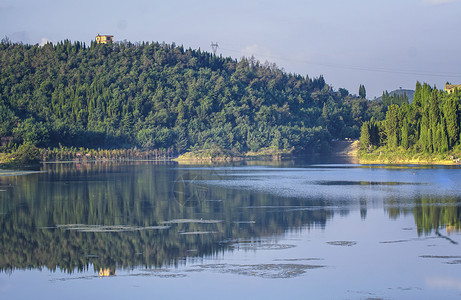 世界湿地日自然环保湿地公园水库背景