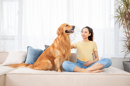 怀孕的美女和宠物金毛犬高清图片