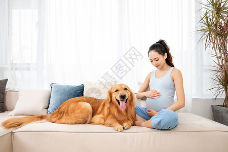 孕妇和宠物金毛犬相伴图片素材