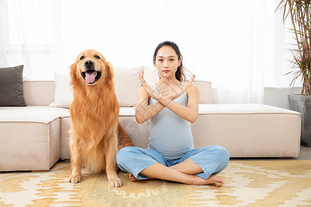 禁止拍照素材孕妇训练宠物禁止手势背景