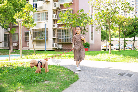 小女孩户外遛狗背景图片