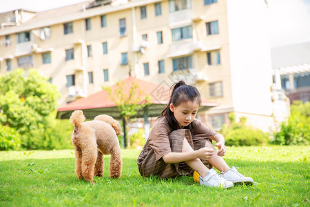 小女孩户外遛狗和狗玩耍背景图片