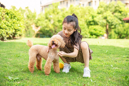 小女孩户外遛狗和狗玩耍背景图片