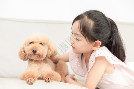 狗和儿童小女孩一起和狗玩背景