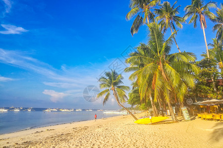 椰子树沙滩边框薄荷岛海岛自然风光背景