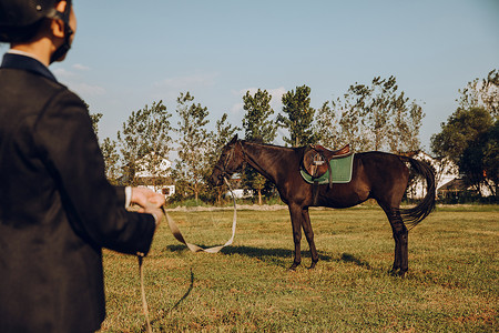 年轻女子户外牵马背景图片