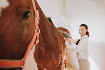 青年女性马棚刷马背景