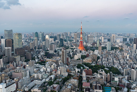 日本东京夜景日本地标建筑东京塔背景