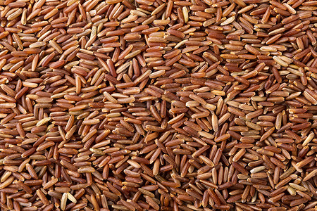 杂粮红米红米背景