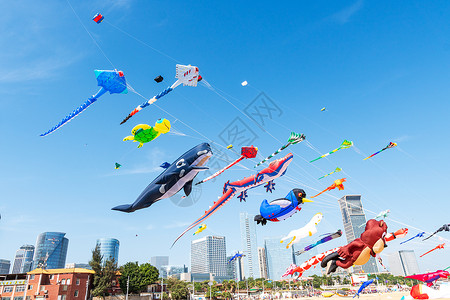 风筝风筝节活动高清图片