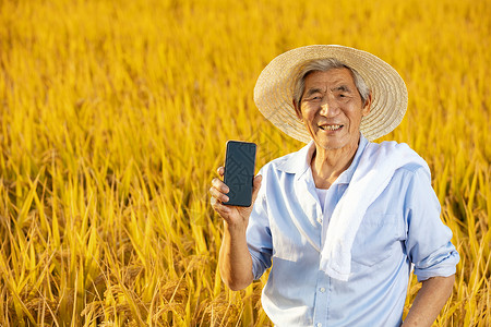 一部手机农民丰收农村电子商务背景
