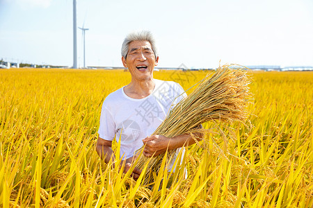 秋季农民稻田丰收劳动节高清图片素材