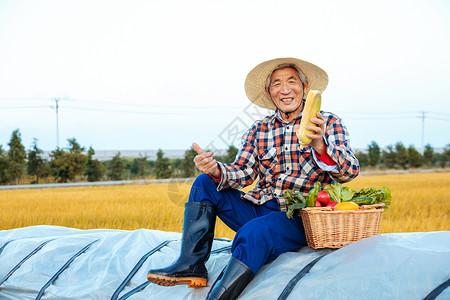 坐在麦垛上的丰收农民老伯图片