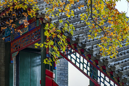 北京秋景北京秋天的古建筑背景