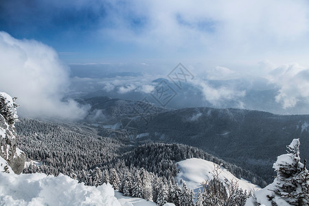 德国拜仁冷格里斯冰雪覆盖的山丘和森林俯视图背景图片