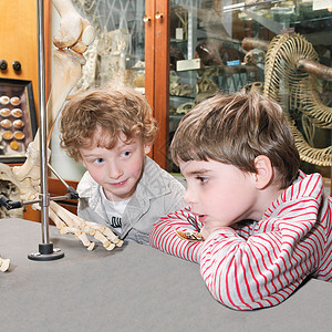 男孩们在博物馆看手工艺品图片