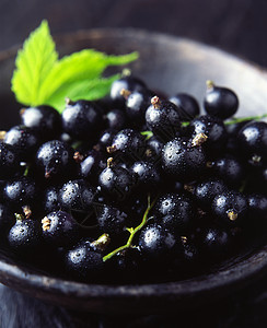 新鲜蓝莓营养高清图片素材