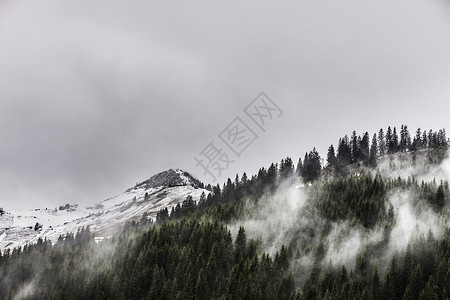 奥地利阿肯基赫森林雾和雪山景观图片
