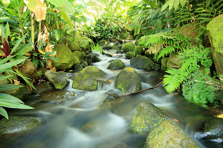 岩石和溪流的近景，德海，瓜德罗普，加勒比海高清图片