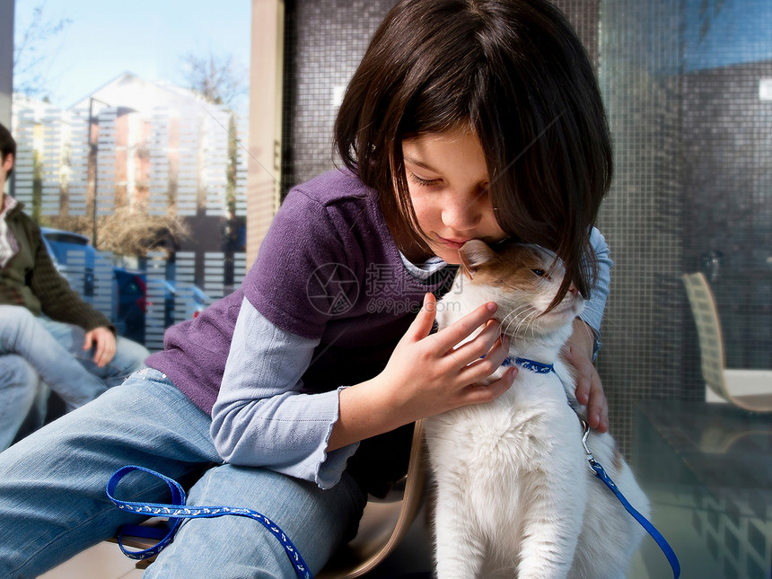 女孩和她的猫在兽医候诊室图片