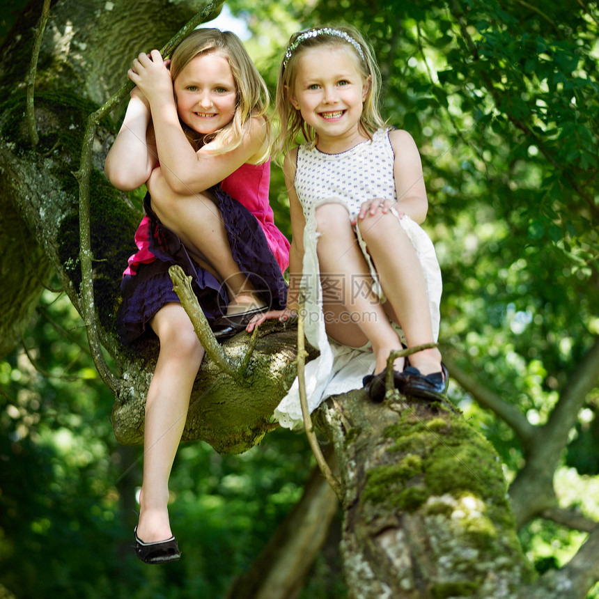 坐在树上微笑的女孩图片