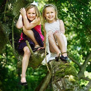 坐在树上女孩坐在树上微笑的女孩背景